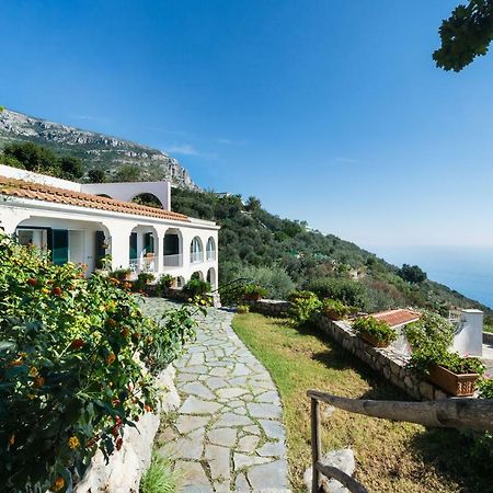Il Nibbio Lejlighed Piano di Sorrento Eksteriør billede