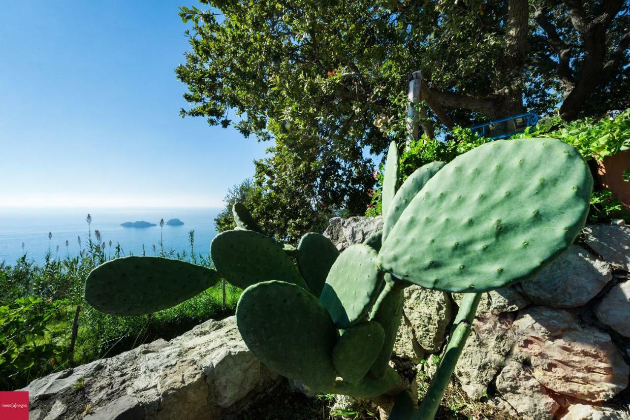 Il Nibbio Lejlighed Piano di Sorrento Eksteriør billede
