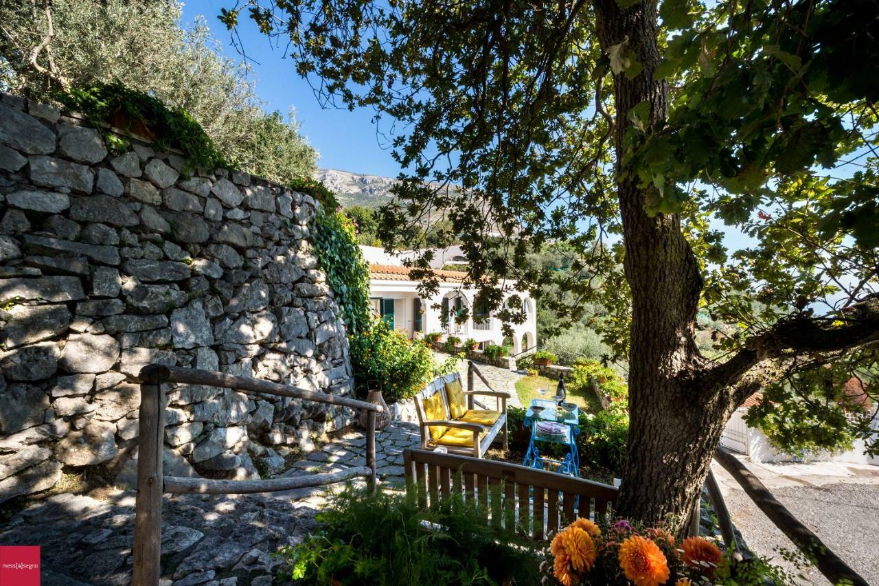 Il Nibbio Lejlighed Piano di Sorrento Eksteriør billede