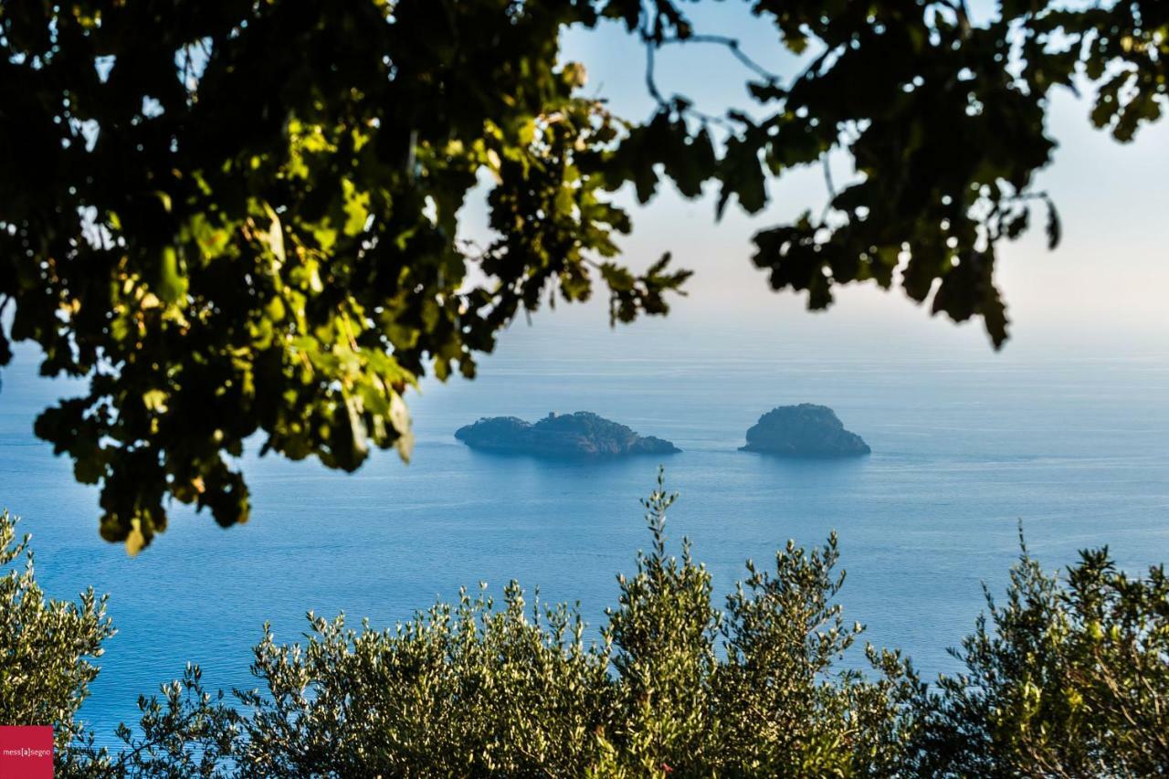 Il Nibbio Lejlighed Piano di Sorrento Eksteriør billede